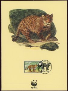 Belize #690 Jaguar Panthera Onca Felines Cats Topical 1983 FDC First Day WWF