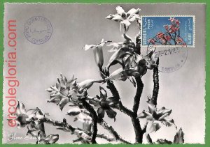 32464 - Somalia - MAXIMUM CARD - 1955 - Flowers-