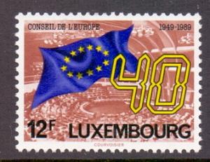 Luxembourg  1989  MNH council of europe