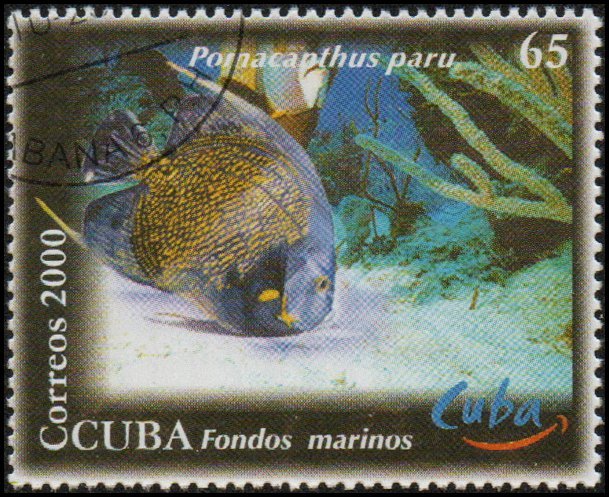 Cuba 4112 - Cto - 65c French Angelfish (2000) (cv $1.75)