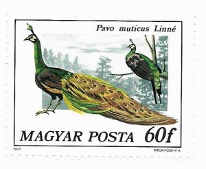 Hungary 1977 - MNH - Scott #2472 *