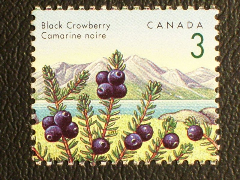 Canada Scott #1351 mnh