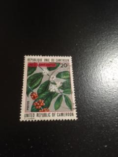 Cameroun sc 559 u Flower