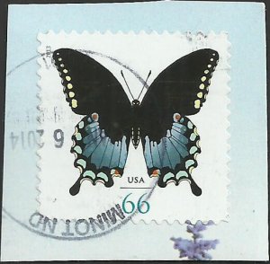 # 4736 USED SPICEBUSH SWALLOWTAIL