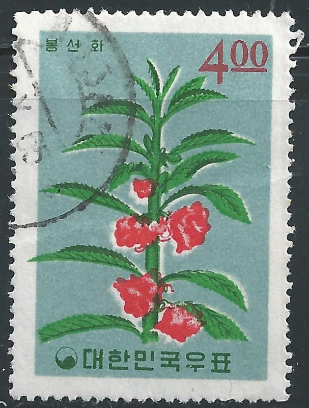 Korea #462 4w Flower - Garden Balsam