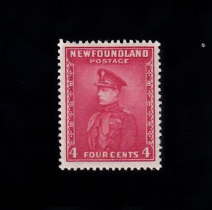 Newfoundland Scott #189 MH