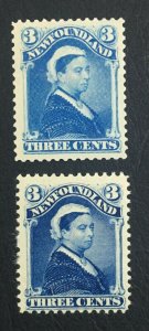 MOMEN: NEWFOUNDLAND SC #49 SHADES MINT OG NH LOT #61082