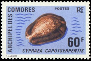 Comoro Islands #99-103, Complete Set(5), 1971, Sea Shells, Hinged