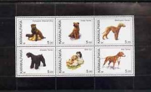 KARAKALPAKIA - 1998 - Dogs #2 - Perf 6v Sheet - Mint Never Hinged