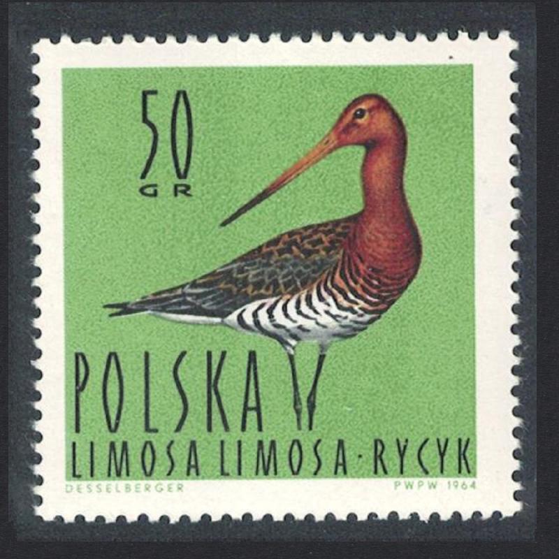 Poland Black-tailed Godwit Bird 50 gr SG#1486 SC#1233