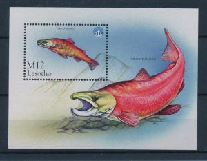 [49688] Lesotho 1998 Marine life Fish Salmon Unesco MNH Sheet