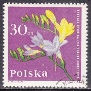 Poland 1280 Freesia 1964
