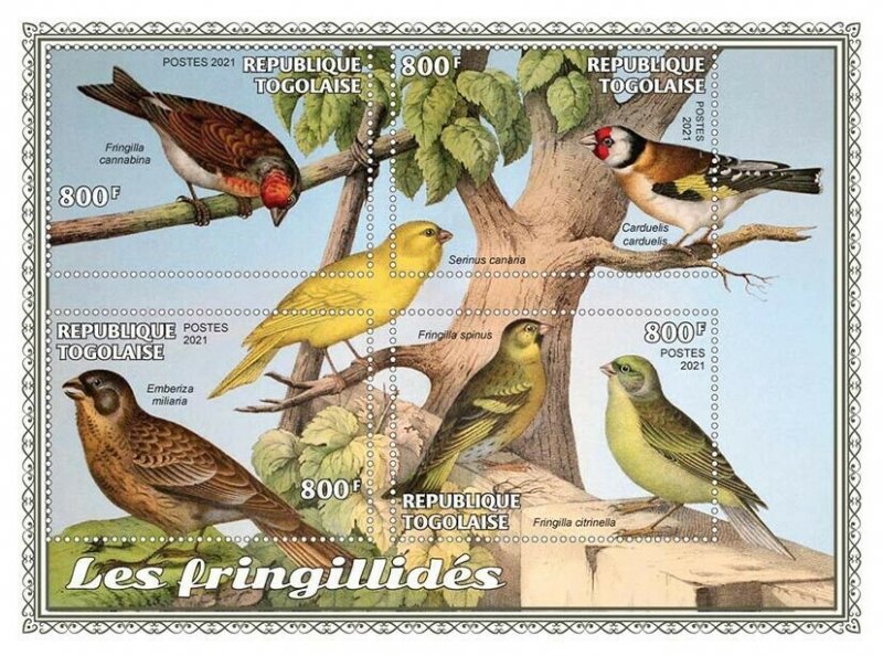 Togo 2021 MNH Birds on Stamps Finches Goldfinch Corn Bunting 4v M/S 