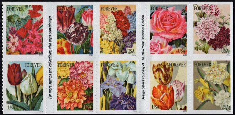 SC#5051a (49¢) Botanical Art Booklet Block of Ten (2016) SA