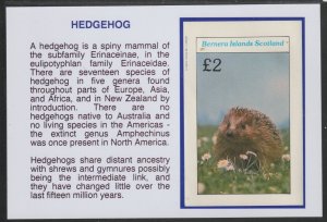 ANIMALS - HEDGEHOG  mounted on glossy card with text