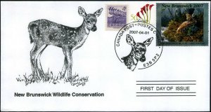 2007 New Brunswick Wildlife White Tail Fawn by Gadamus