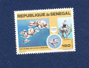 SENEGAL - Scott 544 high value of the set  - FVF MNH  - Birds - 1981