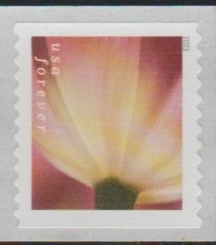 5773,  Coil, Single. Tulip Blossom  MNH,  Forever