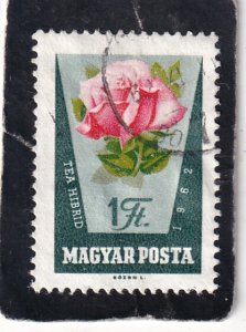 Hungary   #    1469   used
