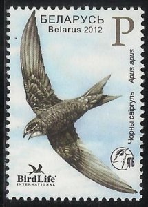 2012 Belarus 914 Bird of the year Belarus.(Black Swift)