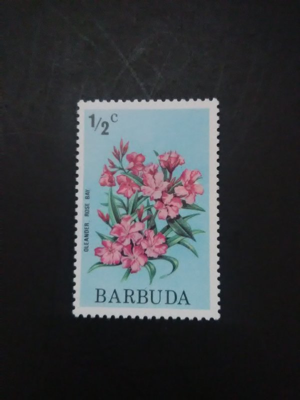 *Barbuda #170**