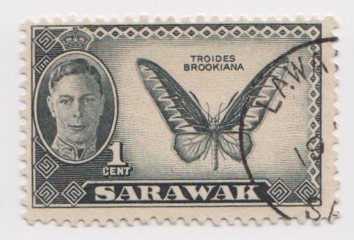 Sarawak -Scott 180 - KGVI Definitives - 1950 - VFU - Single 1c Stamp