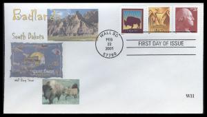 #3468//83 Bison WII FDC