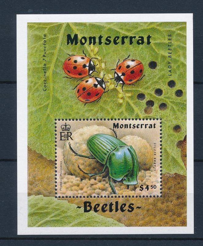 [40314] Montserrat 1994 Insects Insekten Insectes Ladybirds Beetle MNH Sheet