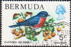 Bermuda #365 Used