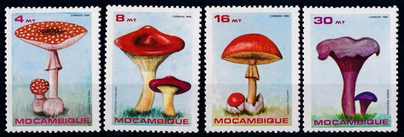 [68641] Mozambique 1986 Mushrooms Pilze Champignons  MNH