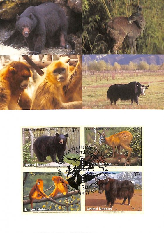 United Nations UN endangered species maximum card  no. 83