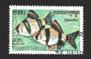 Cambodia 1999 - FDC - Scott #1903