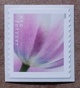 United States #5770 (63c) Tulip Blossoms coil MNH (2023)