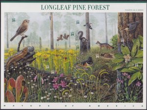 3611 Longleaf Pine Forest MNH