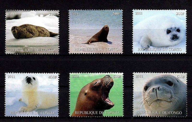 CONGO - 20112 - SEAL - MARINE MAMMAL - ARCTIC - ANTARCTIC + 6 X MINT - MNH SET!