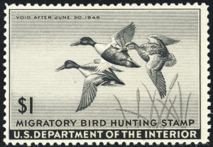 RW12, Mint VF NH $1 Federal Duck Stamp # Stuart Katz