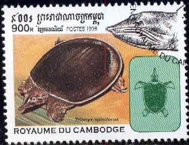 Turtle, Trionyx Spiniferus, Cambodia stamp SC#1767 Used