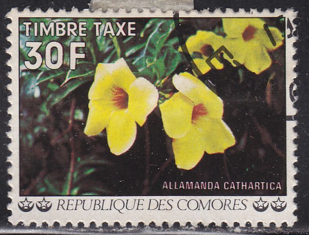 Comoro Islands J12 Flowers 1977