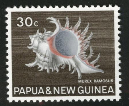 PNG Papua New Guinea Scott 275 MNH**1968 shell stamp