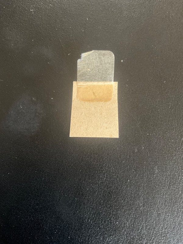 Spain Scott #14 hinged