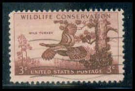 1077 Used Average Plus D2573