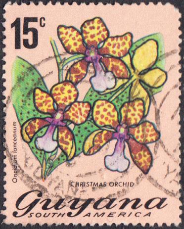 Guyana #139 Used