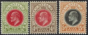 NATAL 1904 KEVII 2D 4D AND 5D WMK MULTI CROWN CA