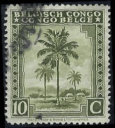 BELGIAN CONGO   #207 USED (8)