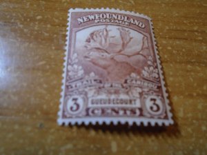 Newfoundland  # 117  MNh