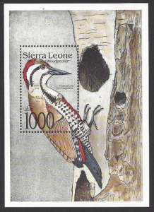 Sierra Leone #1508 MNH souvenir sheet, bird fire bellied woodpecker, issued 1992