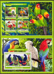 Burkina Faso 2019 Birds Parrots Sheet + S/S MNH