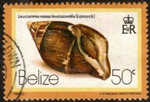 Belize 482 - Used - 50c Chestnut Nassa Sea Snail (1980)