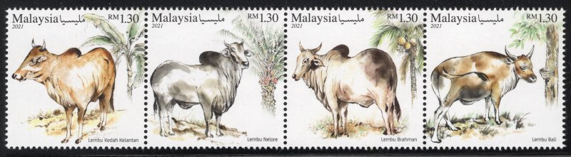 Malaysia 2021 - Cattle of Malaysia