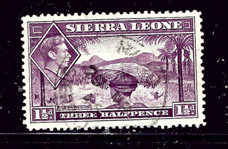 Sierra Leone 175A Used 1941 Rice Harvesting